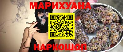 сатива Коммунар