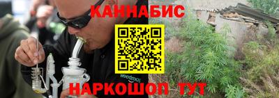 сатива Коммунар