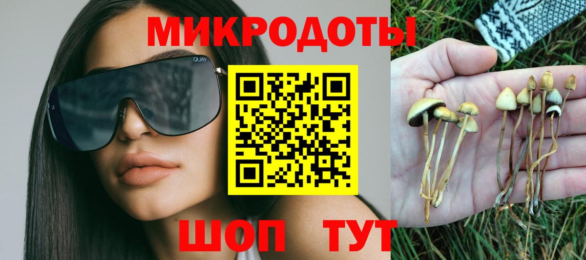 Псилоцибиновые грибы Psilocybine cubensis  Вход с VPN  Губаха 